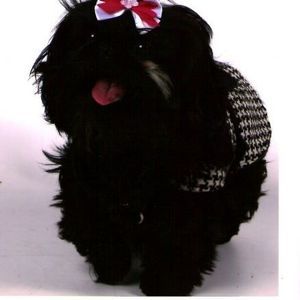 Meet your Posher, Sharon